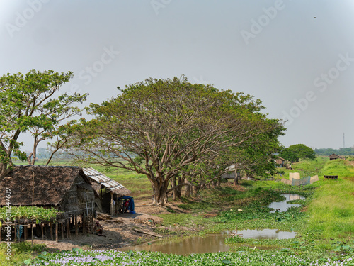 Homes at the Irrawaddy Delta in Myanmar photo