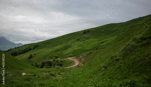 Beautiful mountainous terrain on a cloudy day. Beautiful spring landscape in the mountains. Grassy field and hills. Green grass and cloudy sky.