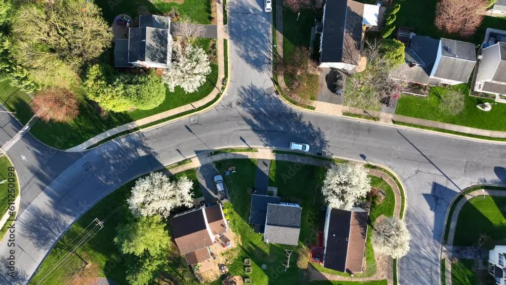 Top down aerial shot of neighborhood during spring. Blooming and flowering trees beside town street during sunset in USA.