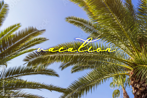 Palm trees against blue sky at tropical coast. Sunleak texture. Vacation is written by yellow in the center of poster. Coconut tree, summer palm leaves.