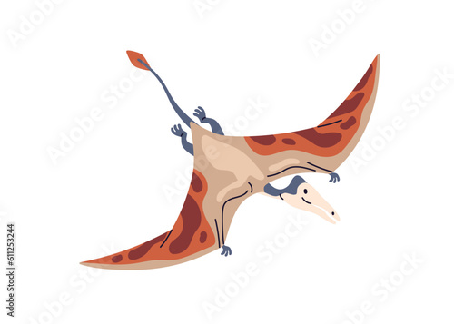 Rhamphorhynchus, flying pterosaur. Long-tailed winged dinosaur. Ancient prehistoric extinct dino of prehistory Jurassic period. Flat vector illustration isolated on white background