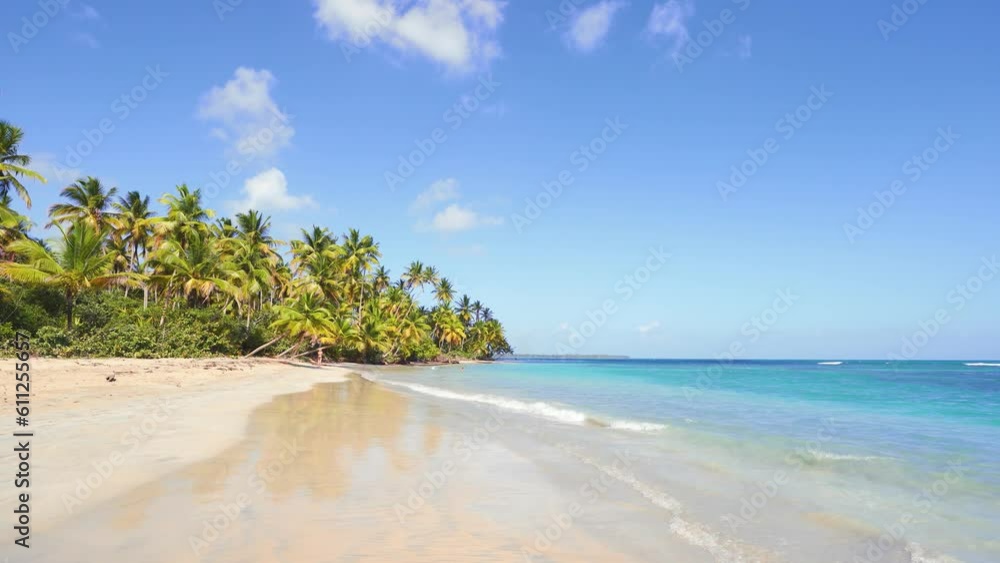 The blue Caribbean Sea washes a tropical peninsula with a palm-fringed beach. Green coconut trees on the sandy beach in amazing summer. Relaxation and recreation in pristine nature in an exotic place. The blue Caribbean Sea washes a tropical peninsula with a palm-fringed beach. Green coconut trees on the sandy beach in amazing summer. Relaxation and recreation in pristine nature in an exotic place.