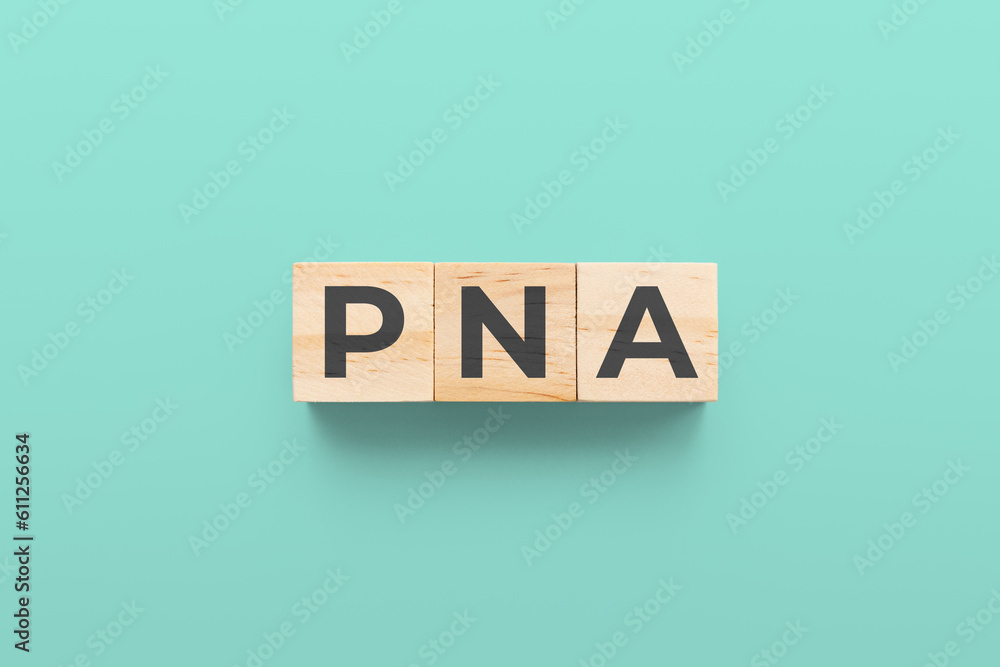 PNA (Pneumonia) wooden cubes on green background PNA (Pneumonia) wooden cubes on green background