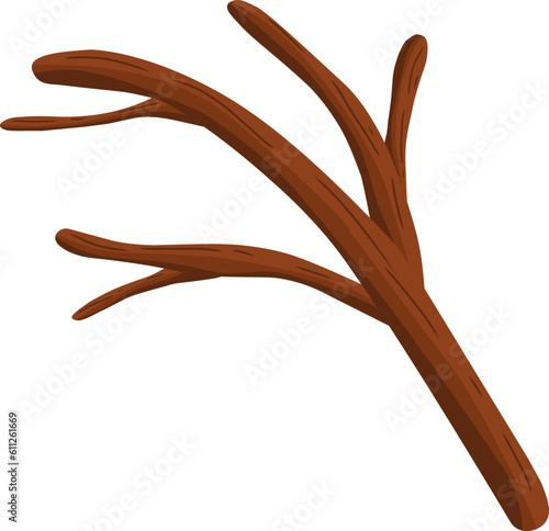 Brown tree branches without leaves