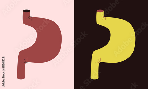 Flat simple style minimal illustration of human stomach on a light and dark background