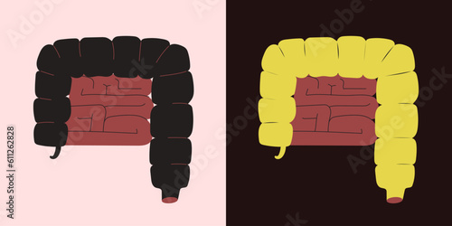 Flat simple style minimal illustration of human large and small intestine on a light and dark background