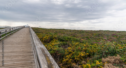 Beautiful wooden walkway on the beach along the ocean. Wooden path at coastline Atlantic ocean over flowering bushes near Catedrales Beach  coast in northern Spain. Tourist place.
