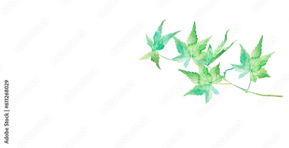 水彩で描いた緑のきれいな水彩イラスト 水彩で描いた緑のきれいな水彩イラスト