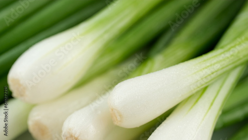 Bunch of green onion, close-up