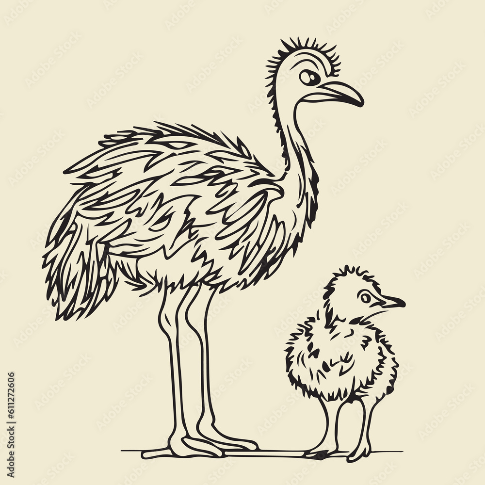 Fototapeta premium Ostrich bird vector line art 