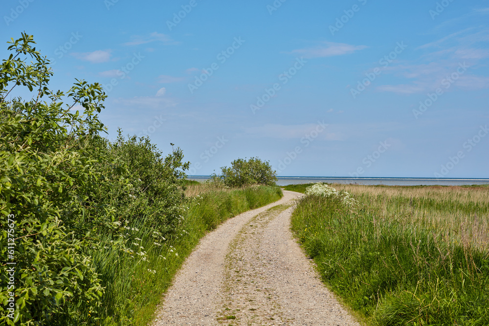 Dirt road, path and green grass in the countryside for travel, agriculture or natural environment. Landscape of lush plant growth, greenery or farm highway with blue sky for sustainability in nature