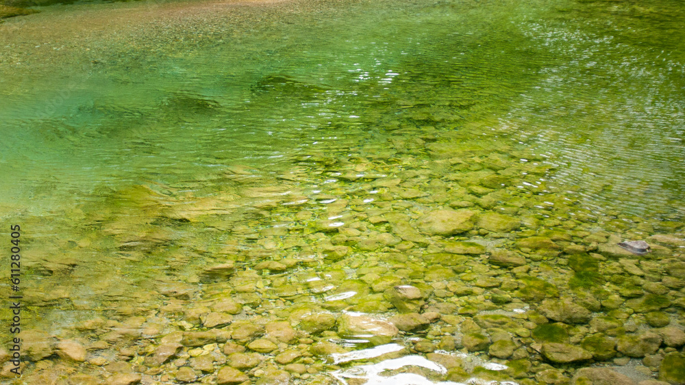 Arroyo de agua clara en bosque de Asturias Arroyo de agua clara en bosque de Asturias