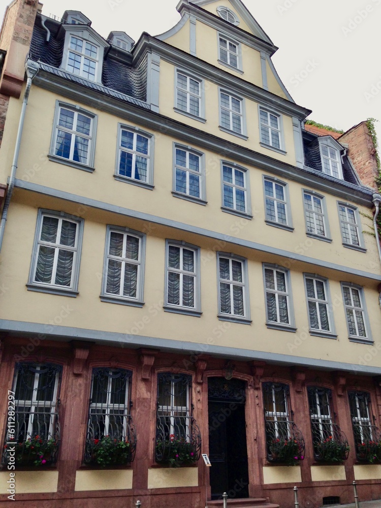 Fototapeta premium houses in the town