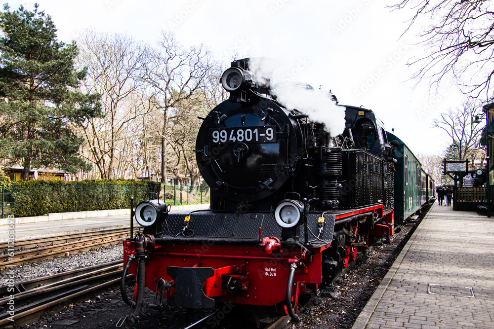 Fototapeta premium Rasender Roland Steam Train on Rügen Island, Germanx