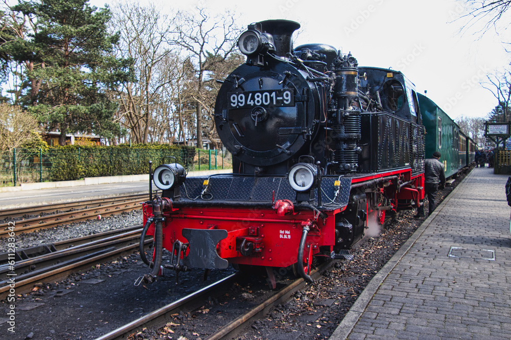 Fototapeta premium Rasender Roland Steam Train on Rügen Island, Germanx