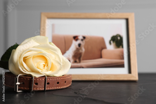 Canvas Print Pet funeral
