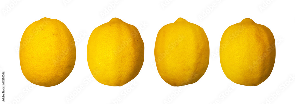 set of lemon isolated set of lemon isolated