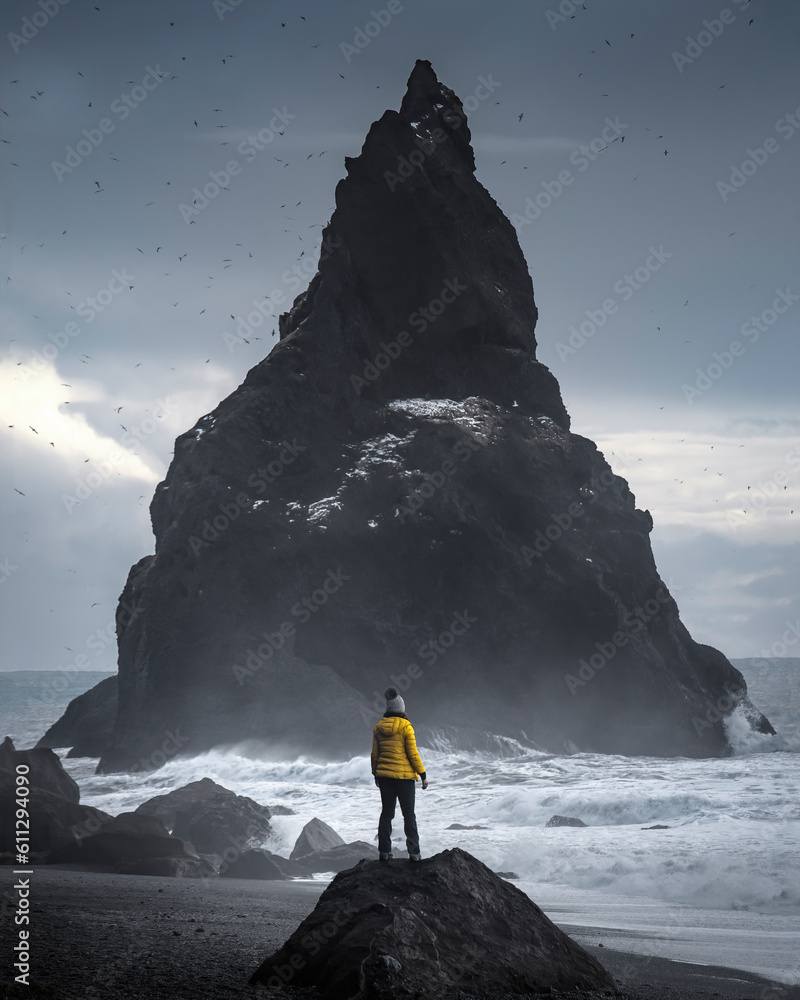 A woman posing on  the black beach of Reynisfjall in Iceland - obrazy, fototapety, plakaty 