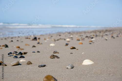 Pebbles and shells on the white sand of a Scandinavian beach. Surf of the North Sea.