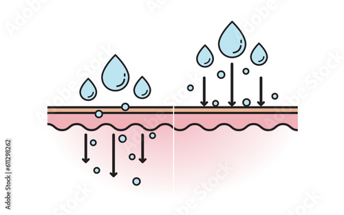 The mechanism of nutrient absorption through skin layer vector, the skincare product doesn't get absorbed, that doesn’t penetrate into the skin layer vector on white background. 