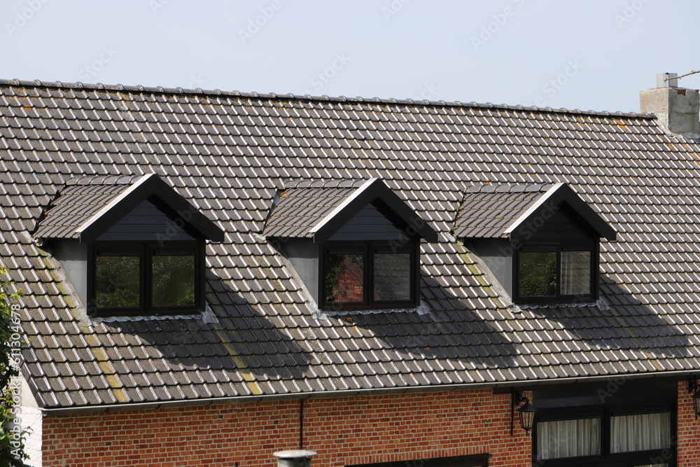 a House with roof window a House with roof window