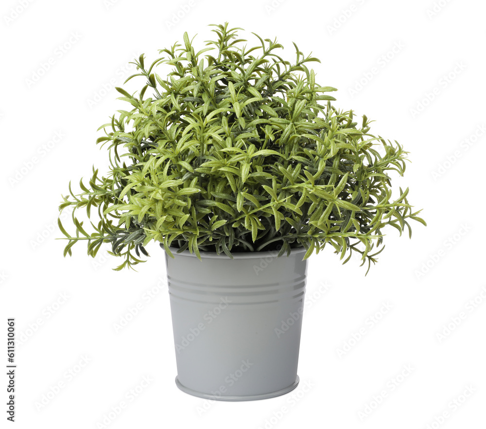 Beautiful artificial plant in flower pot isolated on white Beautiful artificial plant in flower pot isolated on white