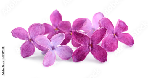 Beautiful fragrant lilac flowers isolated on white