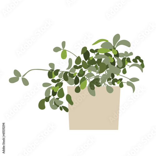 Flat vector illustration. Green houseplant in beige pot