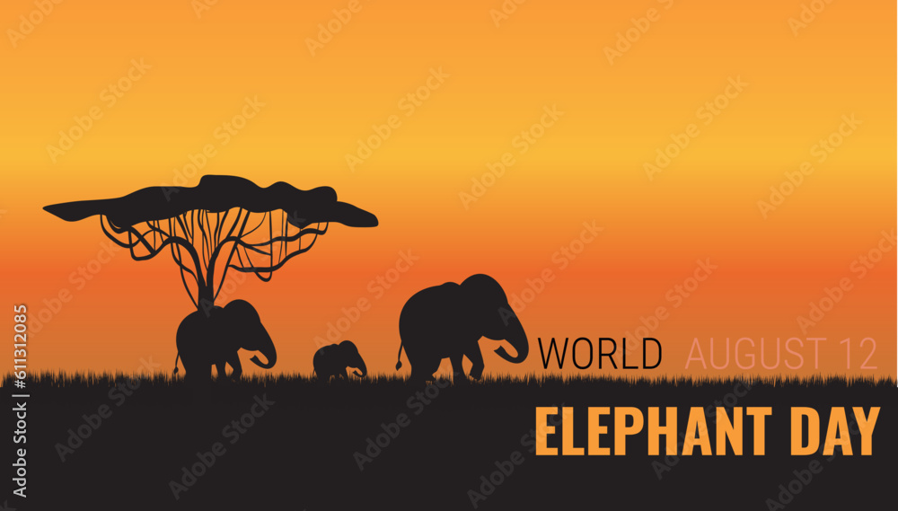 World elephant day.12 August.Silhouette of elephant a sunset in the savannah.