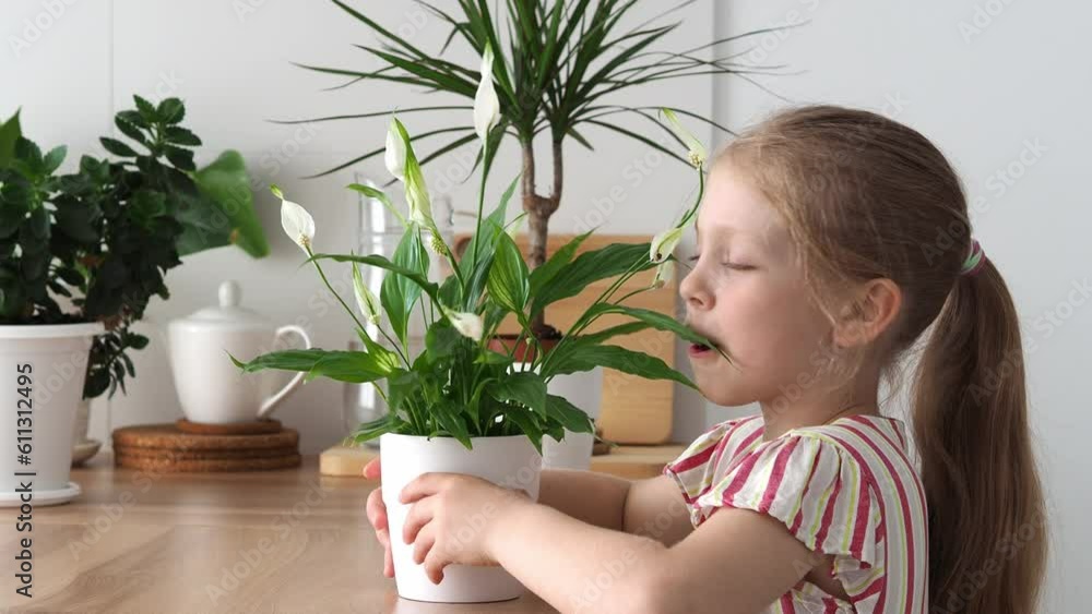 Cute blonde girl looks at blooming houseplants. Green flowers in the interior. Rotate the flower pot. Childish curiosity. Studying biology at home Cute blonde girl looks at blooming houseplants. Green flowers in the interior. Rotate the flower pot. Childish curiosity. Studying biology at home