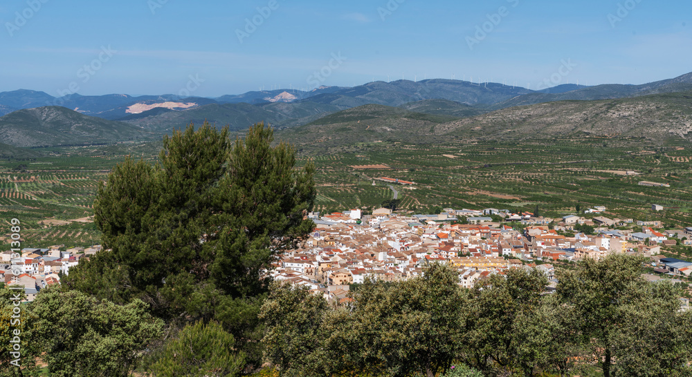 Aerial view of orchards and mountain on the horizon. Typical countryside of Mediterranean seaboard. Cultivation of healthy fruits in Catalonia, Spain.