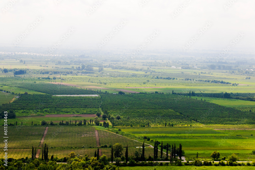 Obraz premium Alazani valley landscape and view