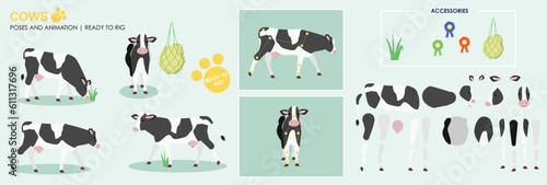 Black and white cow ready to animate with multiple poses accessories. Vector file labeled ready to rig. milking cow, cow walking, standing, front, side views