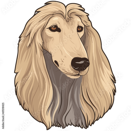 Comic-Cartoon-Zeichnung eines Afghanischen Windhund Kopfes
