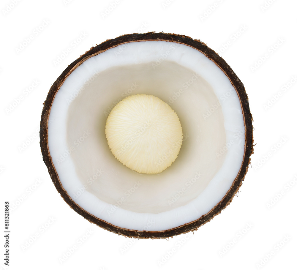 Coconut. Half isolated on transparent png Coconut. Half isolated on transparent png