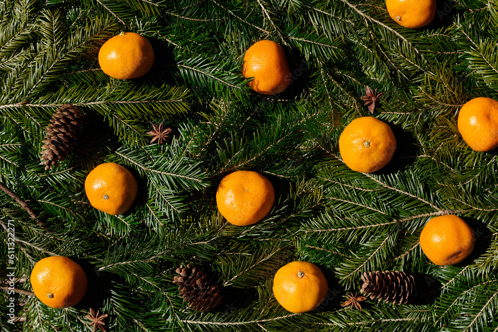 Rich tangerines on fir twigs Rich tangerines on fir twigs