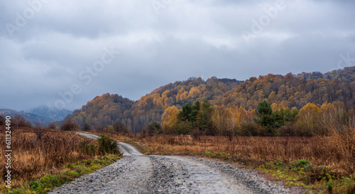 Country road through the autumn hills and colorful deciduous forest. Cloudy sky. Rainy day. Autumn colors. Idyllic autumn rural scene. Seasons, fall, nature, eco tourism, logistics, distance.
