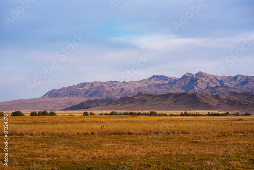 Landscape of the Tibetan Plateau. Yellow wild grass against the backdrop of a mountain range. An amazing view of a desolate plain with dry grass in the foreground and mountains in the distance.