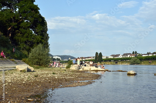 Der Rhein in Basel im Frühling