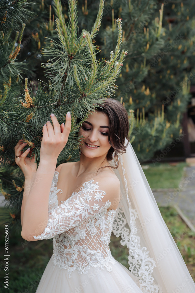 Wedding portrait. A brunette bride in a lace veil and a white dress with lace sleeves poses near a coniferous tree. Open shoulders of the bride. Photo session in nature.