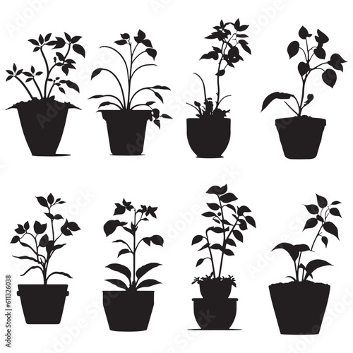 Beautiful Small Plants Silhouette Vector, Plants pot Vector, Plant silhouette set	