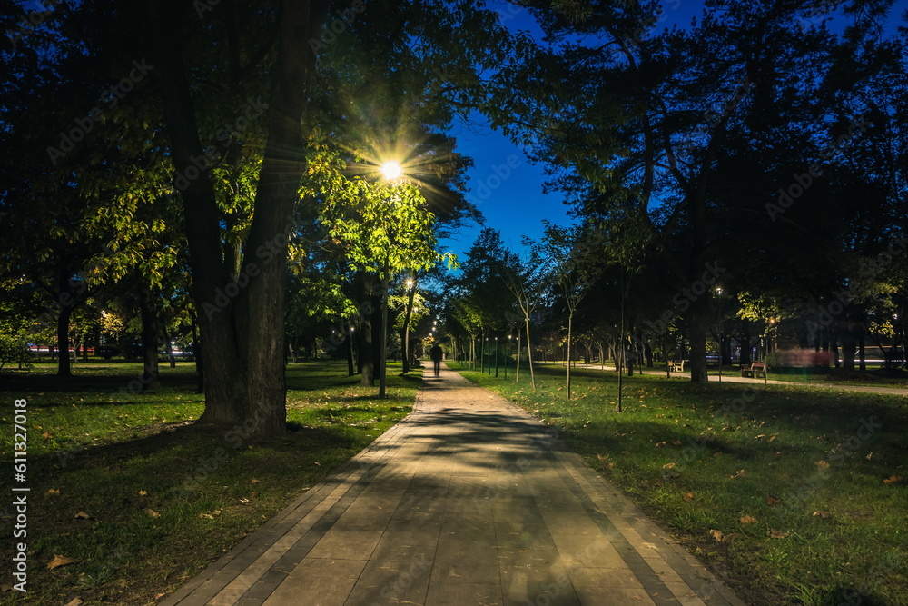Obraz premium The tailed lawn with yellow leafs in the night park with lanterns in autumn. Benches in the park during the autumn season at night. Illumination of a park road with lanterns at night. Park Kyoto