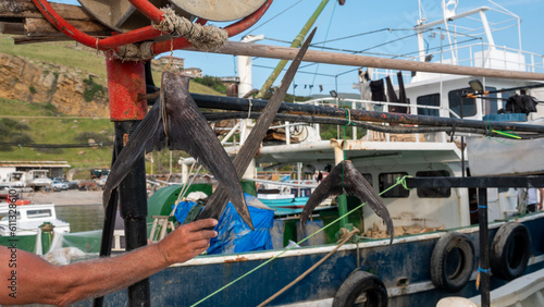 Obraz na plátně Swordfish tails hung to dry on a fishing boat in Gokceada, Imbros island