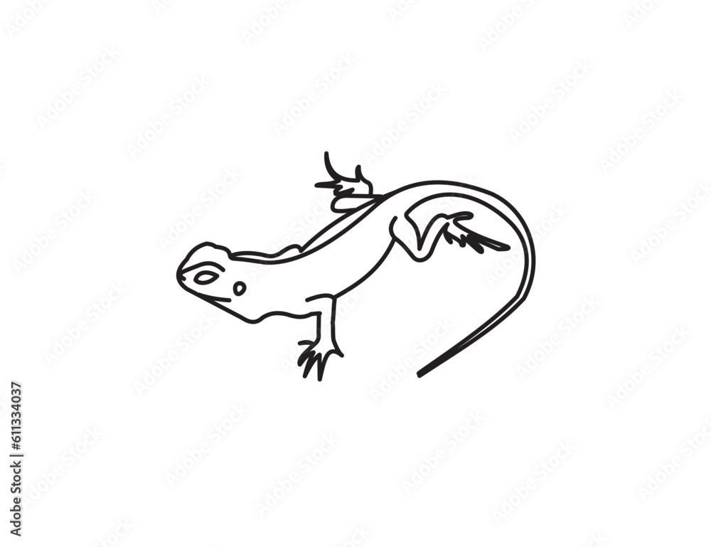 lizard vector hand drawn illustration