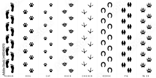 Footprint Silhouette Set