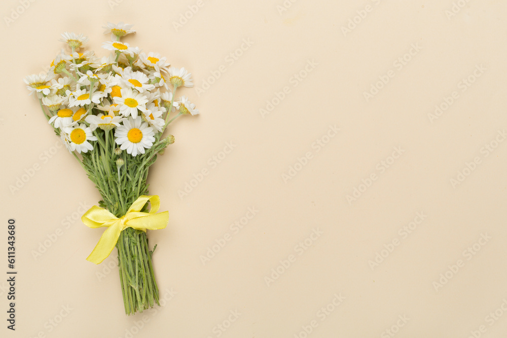 Small bouquet of chamomile flowers on color background, top view