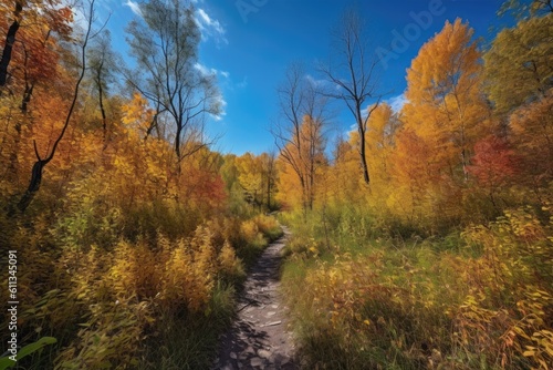 hiking trail through a vibrant fall forest, with golden leaves and blue skies, created with generative ai © Alfazet Chronicles