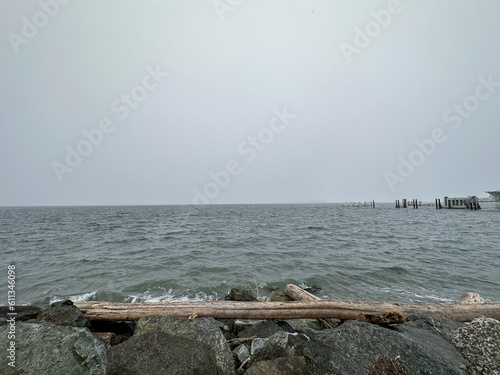 A large piece of driftwood sits on a rocky shore with grey skies and dark waters, near Sidney, British Columbia © Sophia