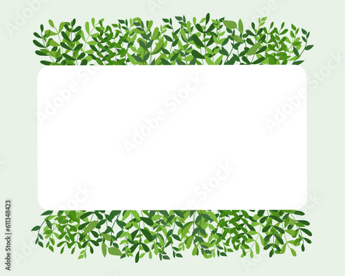 Vector spring leaves decorative border isolated on white background. Border frame template with eco herb organic decoration. Space for text in the middle photo