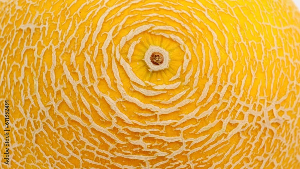 melon rind closeup, background. Textured peel of sweet yellow melon